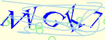 Captcha confirmation text
